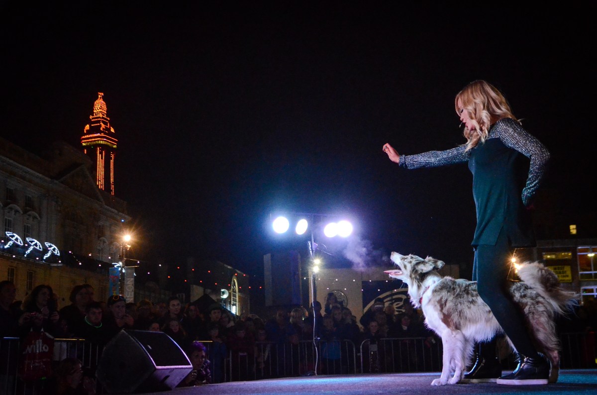 LightPool Festival – LumiDogs&nbsp;2016